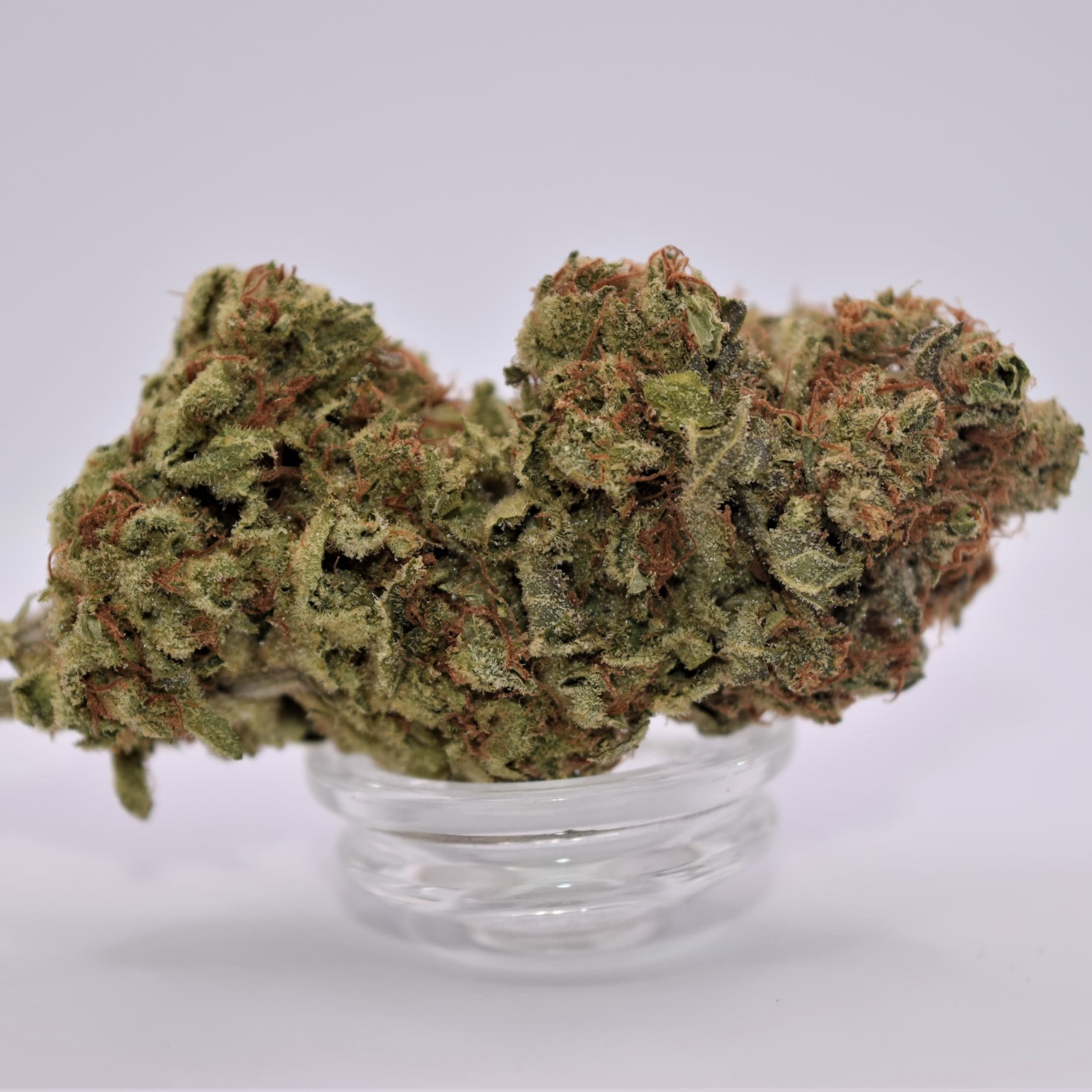 Sweet Amnesia Flower | Alternative Releaf Marijuana Menu